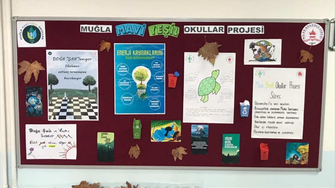 Muğla Mavi-Yeşil Okullar Projesi